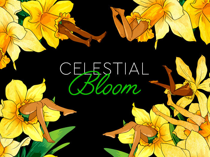 Zodiac Flowers: What’s Your Celestial Bloom?