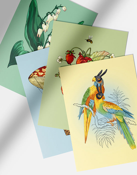 Cards – UselessTreasures